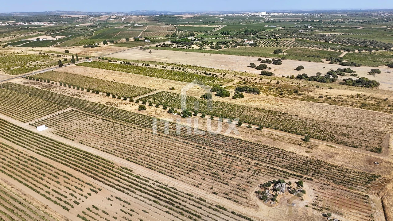 Apartamento para Venda em Bacelo e Senhora da Saúde Foto 8