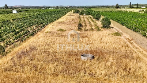 Apartamento para Venda em Bacelo e Senhora da Saúde