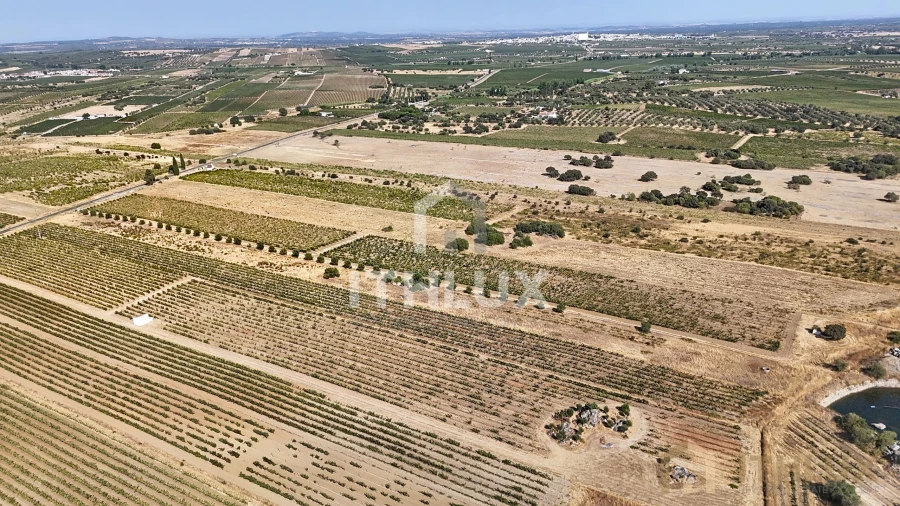 Apartamento para Venda em Bacelo e Senhora da Saúde Foto 9