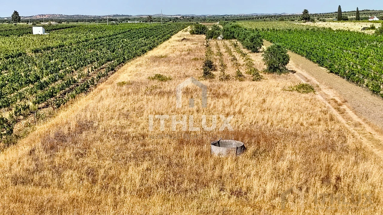 Apartamento para Venda em Bacelo e Senhora da Saúde Foto 1