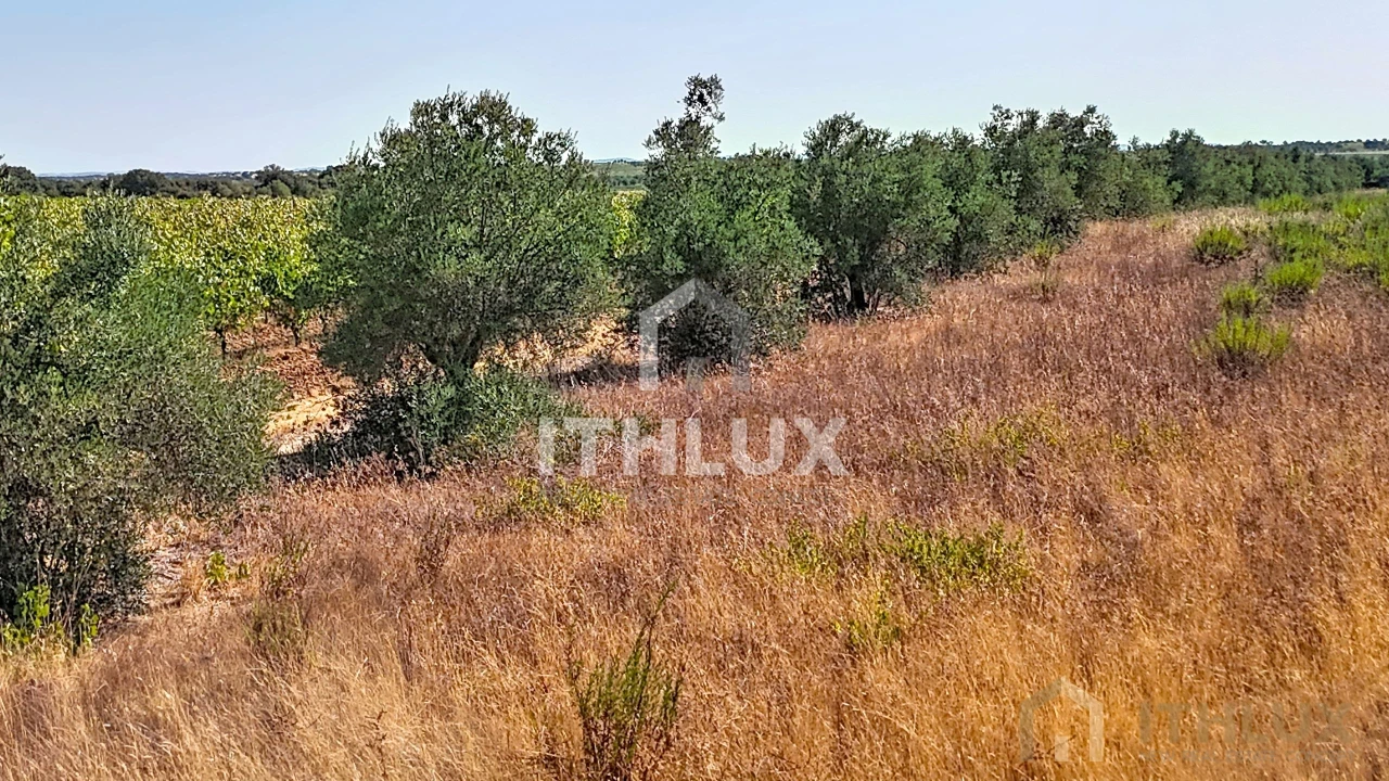 Apartamento para Venda em Bacelo e Senhora da Saúde Foto 6
