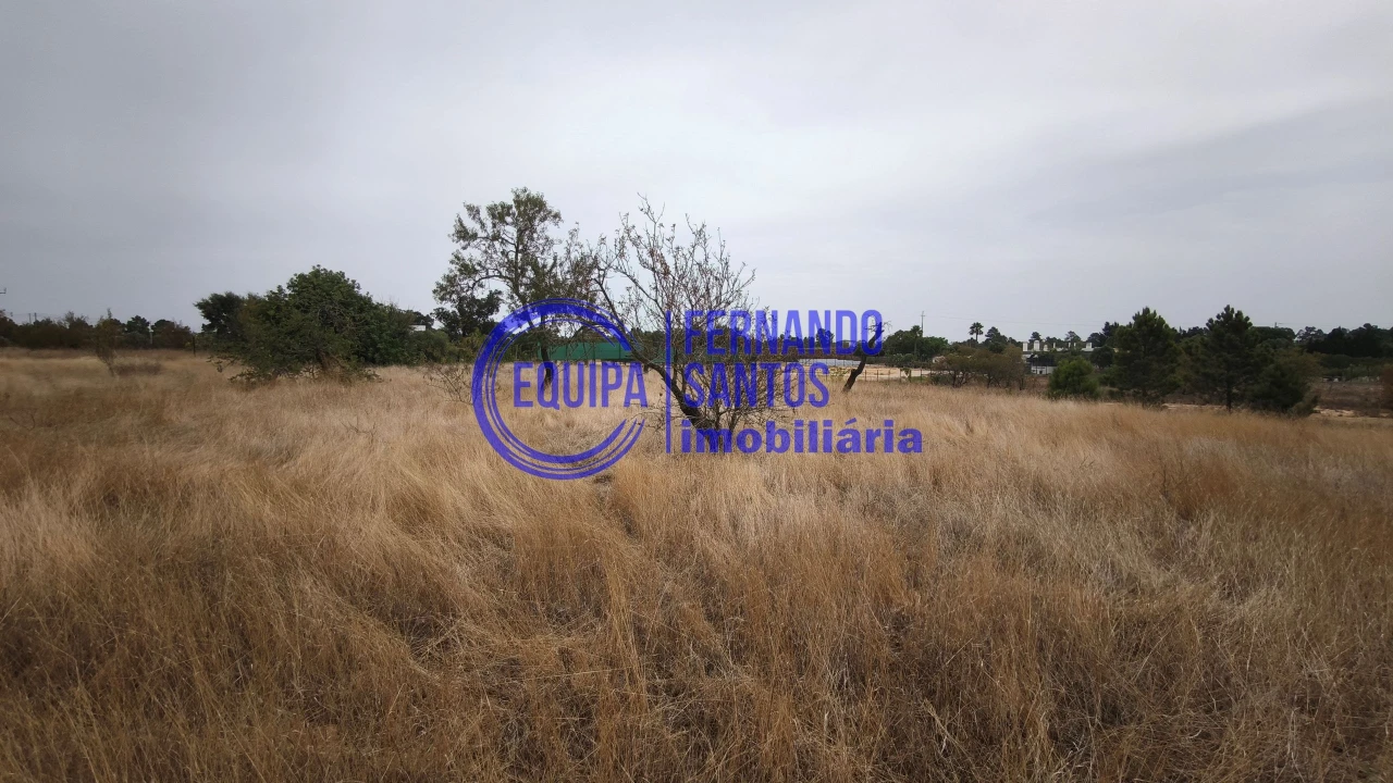 Terreno para Venda em Silves Foto 7