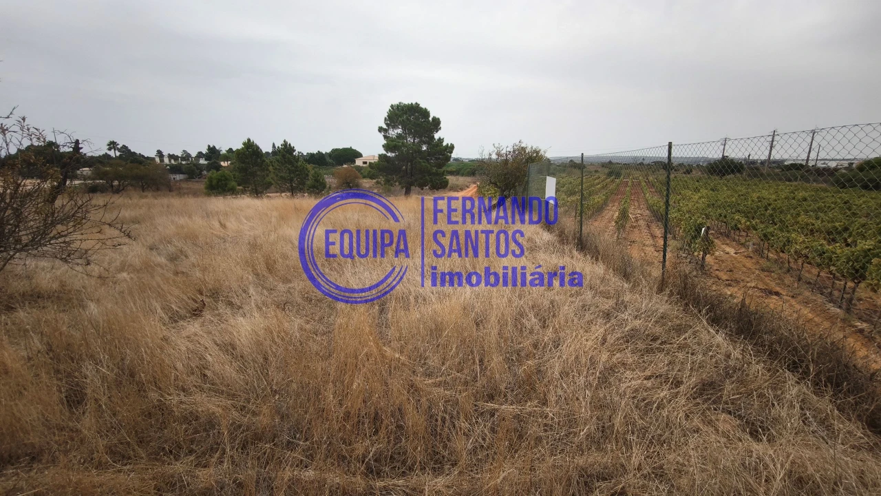 Terreno para Venda em Silves Foto 9