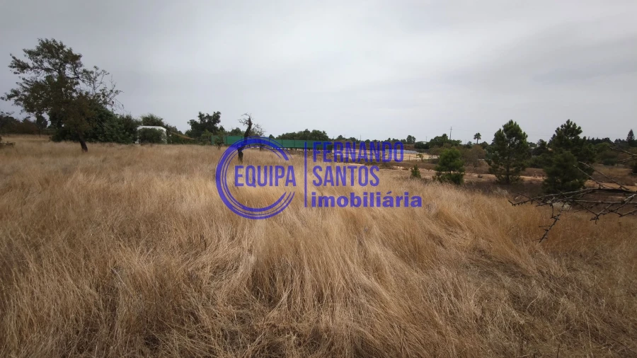Terreno para Venda em Silves Foto 3