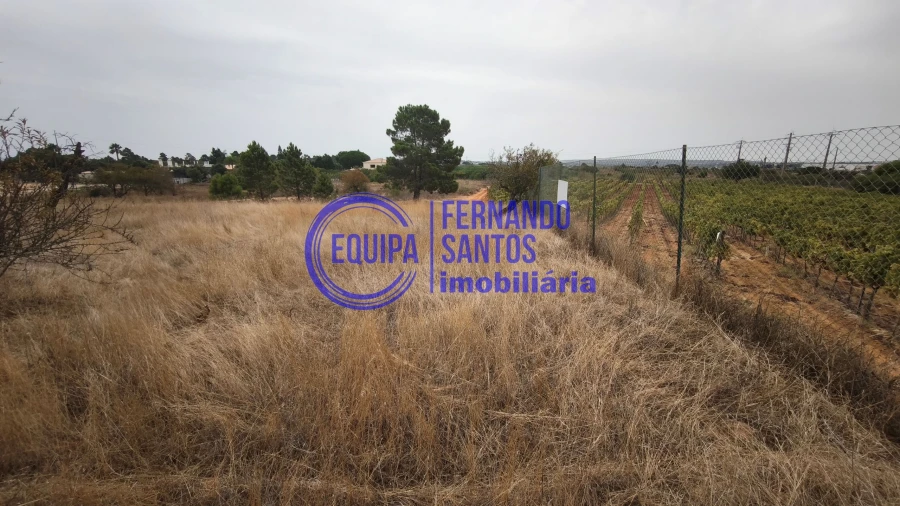 Terreno para Venda em Silves Foto 9