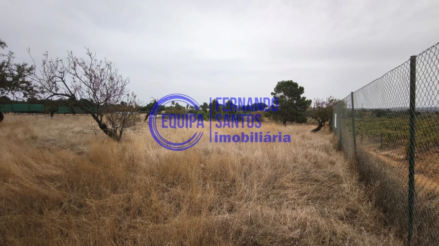 Terreno para Venda em Silves Foto 8
