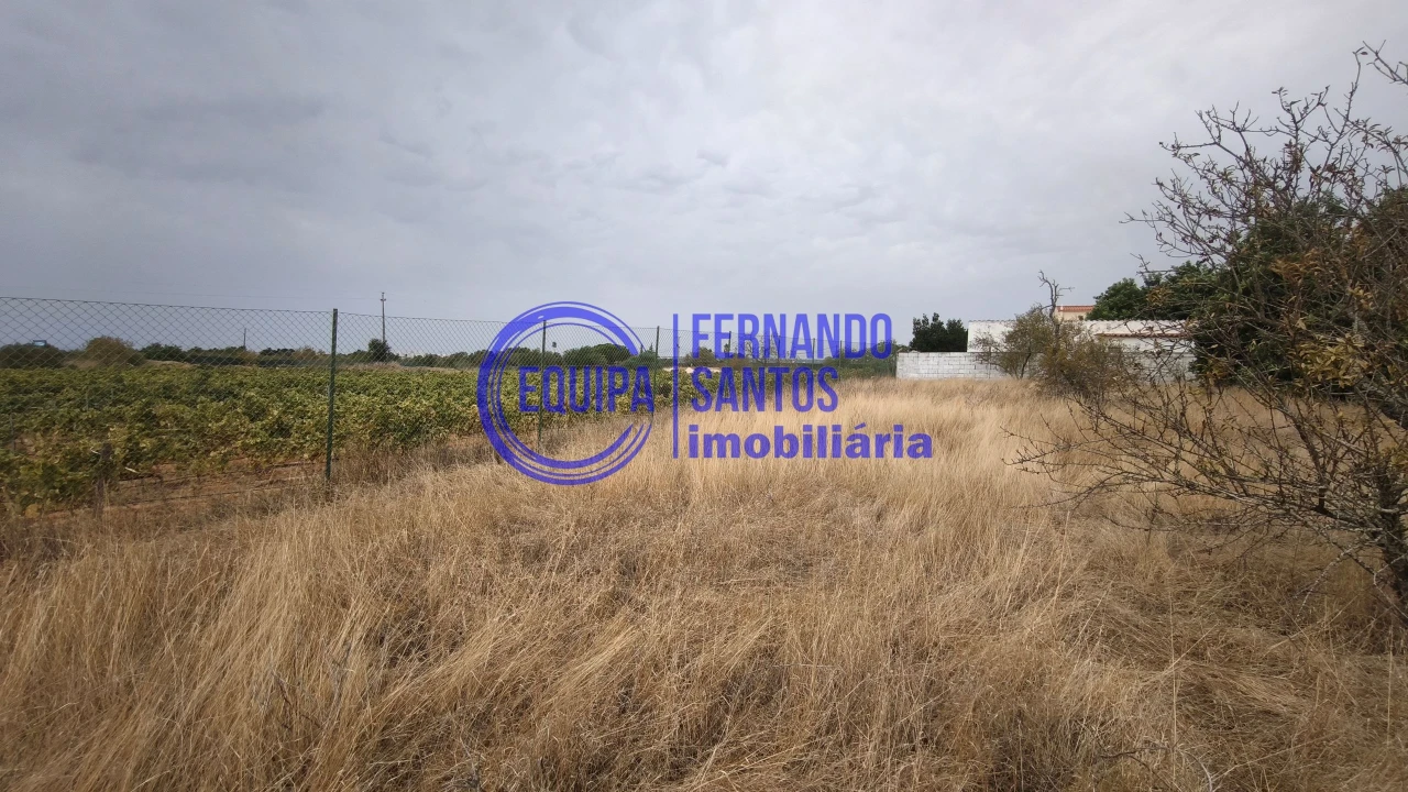 Terreno para Venda em Silves Foto 5