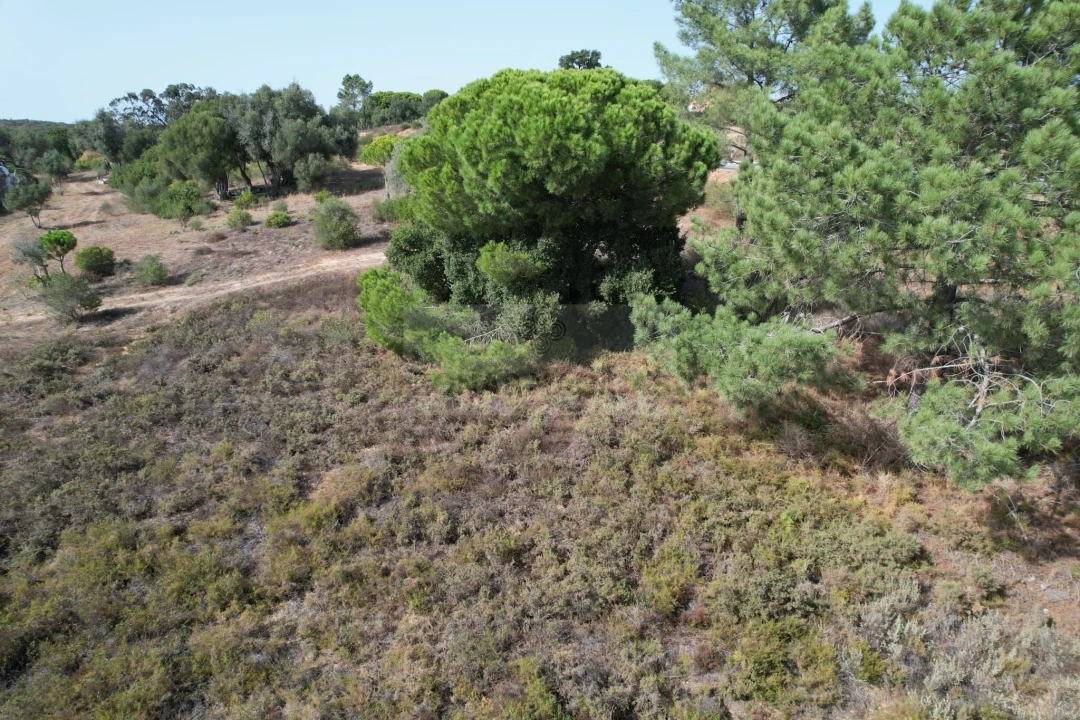 Terreno para Venda em Odiaxere Foto 4
