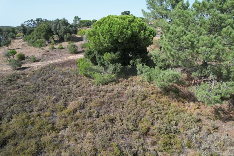 Terreno para Venda em Odiaxere Foto 4