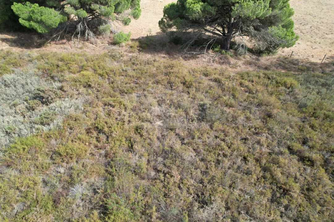 Terreno para Venda em Odiaxere Foto 2