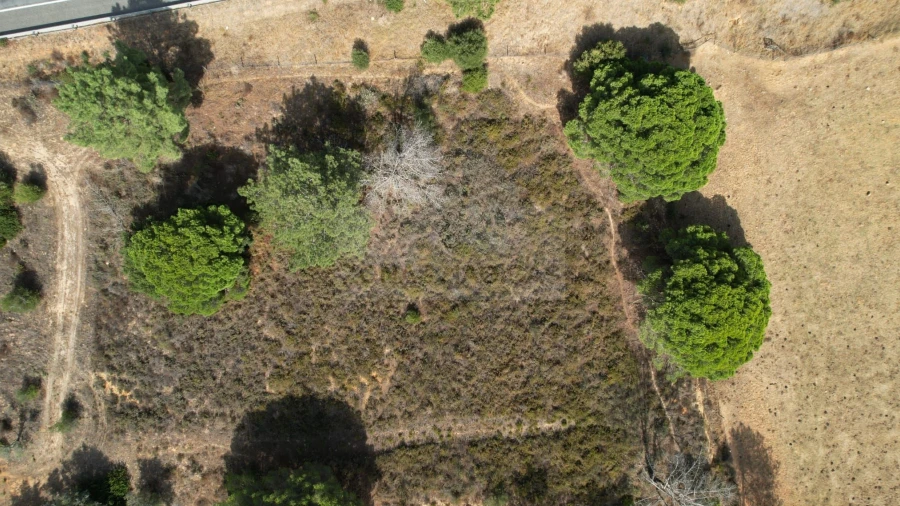 Terreno para Venda em Odiaxere