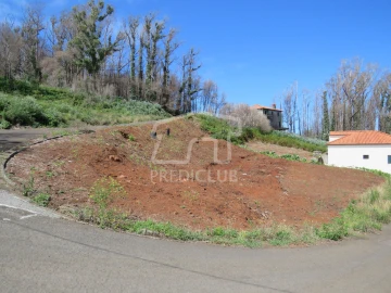 Terreno para Venda em Porto Moniz