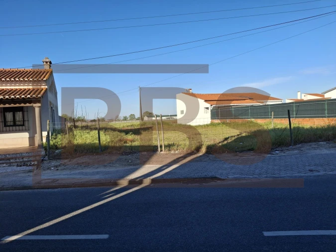 Moradia T3 para Venda em Muge Foto 6
