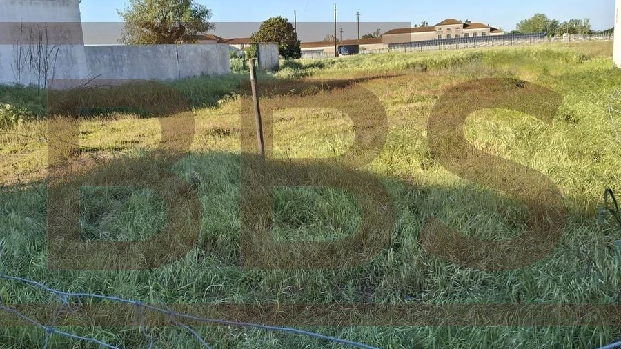 Moradia T3 para Venda em Muge