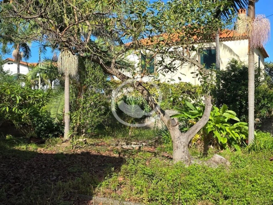 Moradia T4 para Venda em Ponta Delgada Foto 10