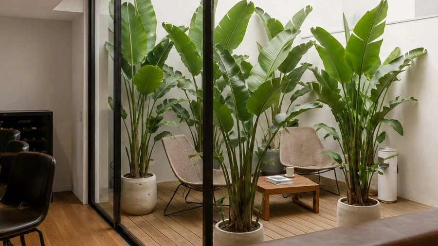 Apartamento para Venda em Matosinhos e Leça da Palmeira
