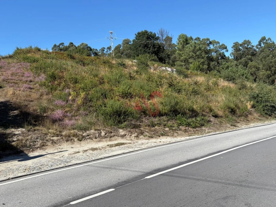 Terreno para Venda em Silvares (São Martinho) Foto 2