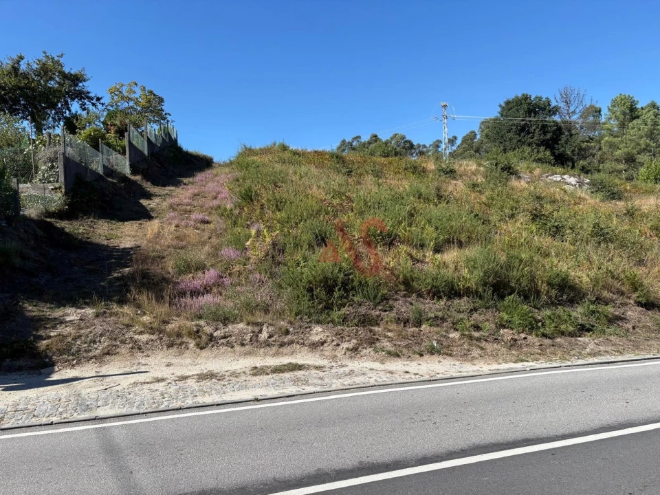 Terreno para Venda em Silvares (São Martinho) Foto 1