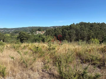 Terreno para Venda em Silvares (São Martinho)