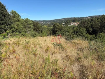 Terreno para Venda em Silvares (São Martinho)