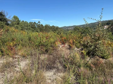 Terreno para Venda em Silvares (São Martinho)
