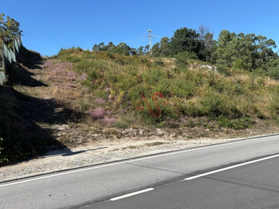 Terreno para Venda em Silvares (São Martinho) Foto 5