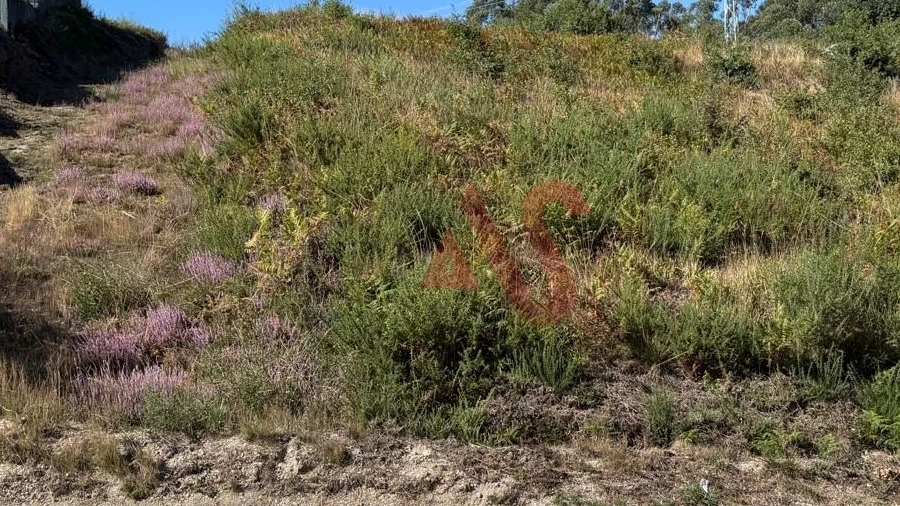 Terreno para Venda em Silvares (São Martinho)