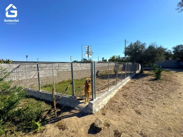Quinta T1 para Venda em Lardosa