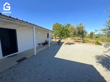 Quinta T1 para Venda em Lardosa