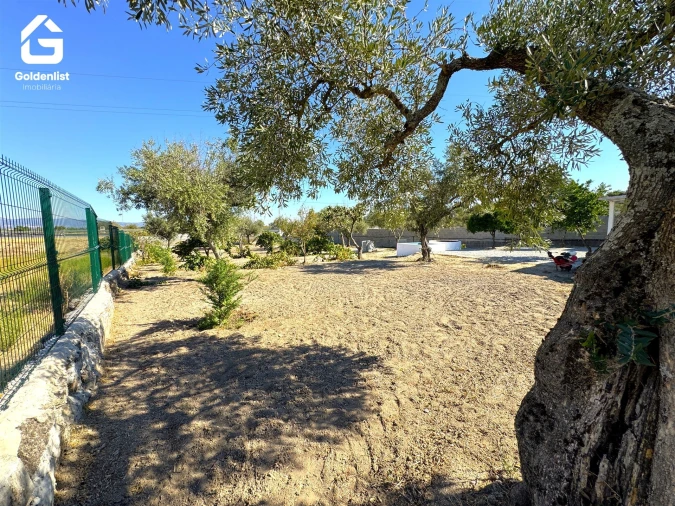 Quinta T1 para Venda em Lardosa Foto 28