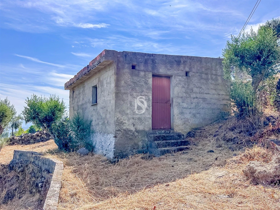Terreno Agricola ou Rústico para Venda em Poiares e Canelas Foto 11