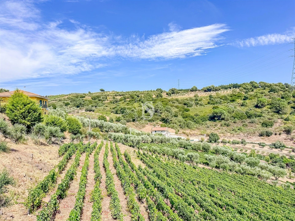 Terreno Agricola ou Rústico para Venda em Poiares e Canelas Foto 1