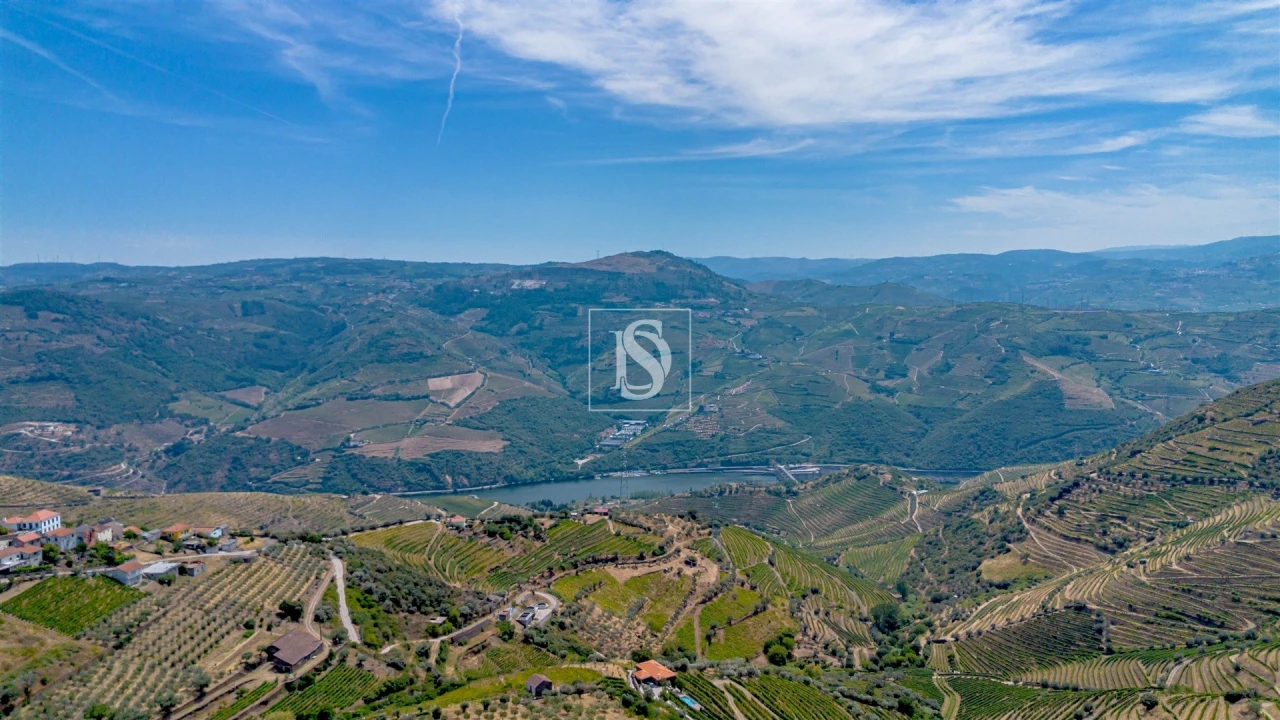 Terreno Agricola ou Rústico para Venda em Poiares e Canelas Foto 5