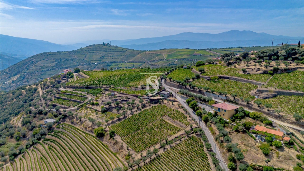Terreno Agricola ou Rústico para Venda em Poiares e Canelas Foto 2