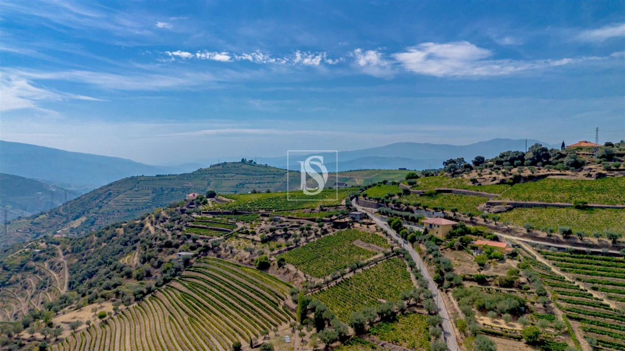 Terreno Agricola ou Rústico para Venda em Poiares e Canelas Foto 7