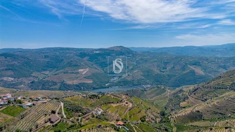 Terreno Agricola ou Rústico para Venda em Poiares e Canelas