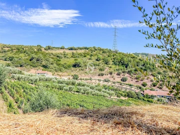 Terreno Agricola ou Rústico para Venda em Poiares e Canelas