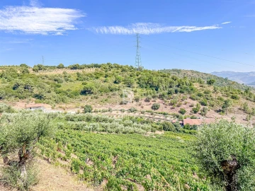 Terreno Agricola ou Rústico para Venda em Poiares e Canelas