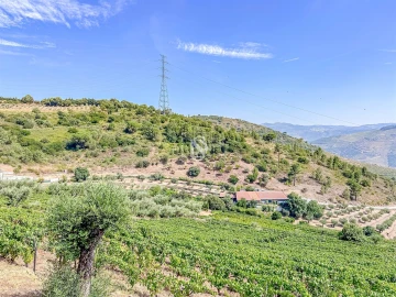 Terreno Agricola ou Rústico para Venda em Poiares e Canelas