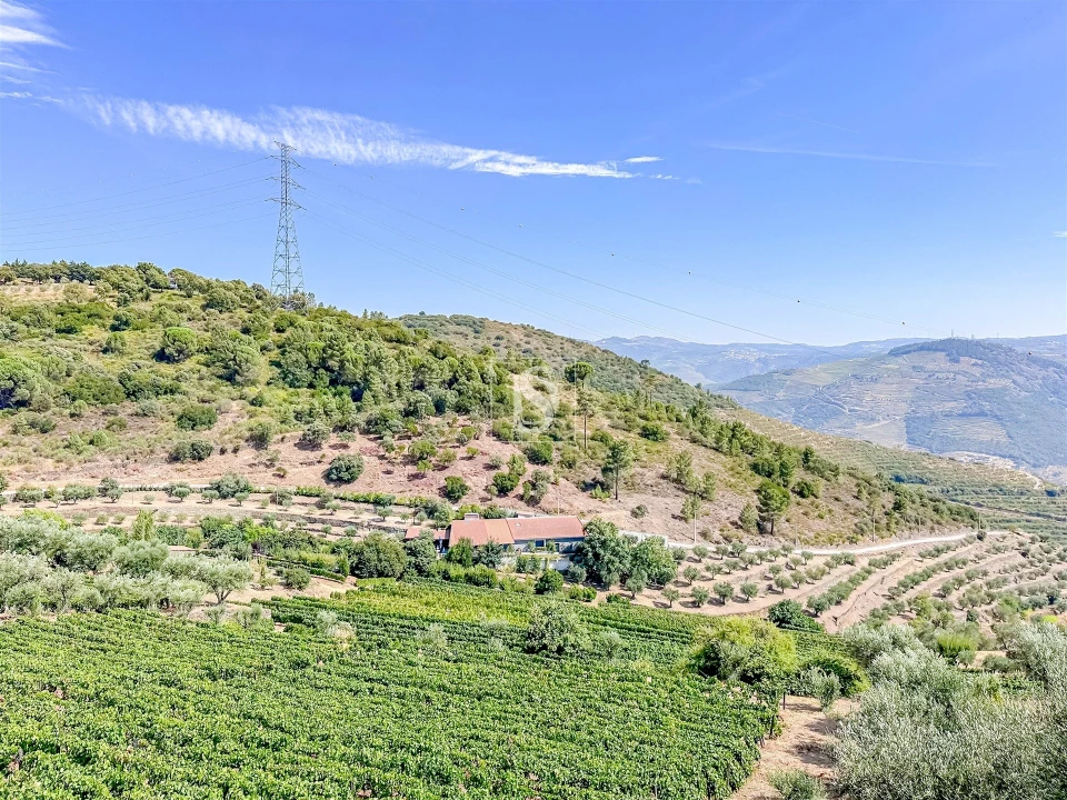 Terreno Agricola ou Rústico para Venda em Poiares e Canelas Foto 17