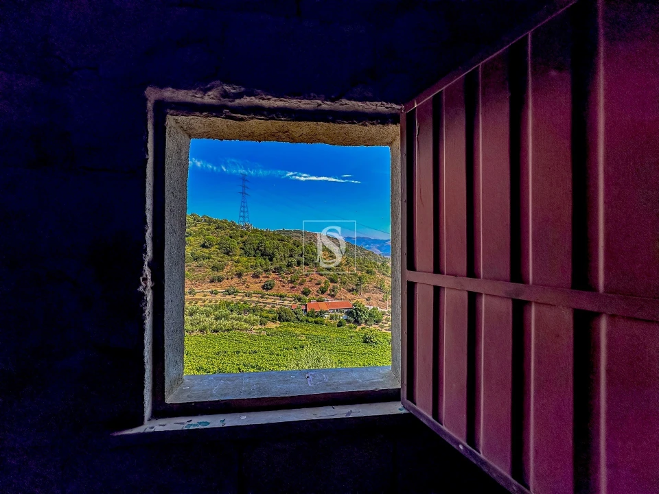 Terreno Agricola ou Rústico para Venda em Poiares e Canelas Foto 14