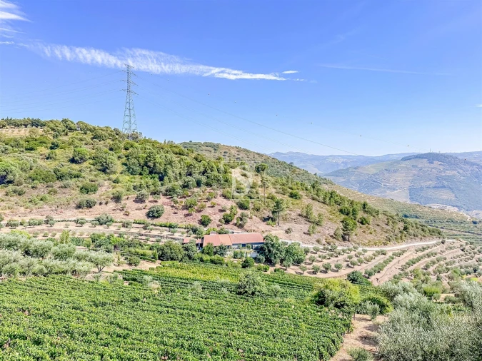 Terreno Agricola ou Rústico para Venda em Poiares e Canelas Foto 17