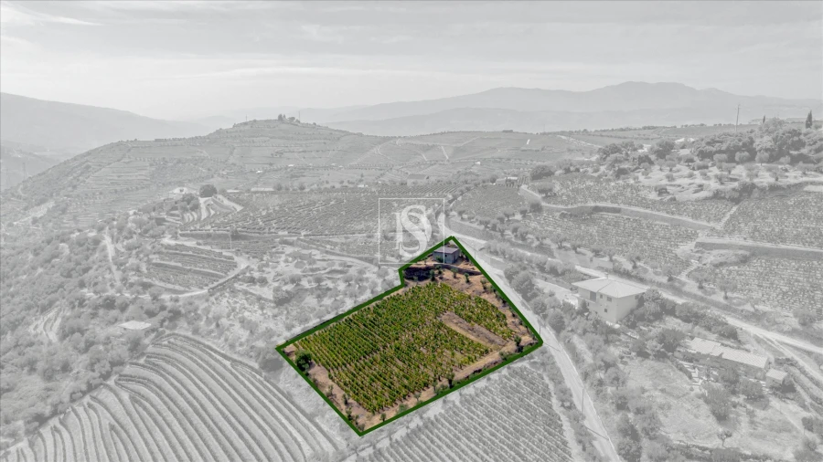 Terreno Agricola ou Rústico para Venda em Poiares e Canelas Foto 3
