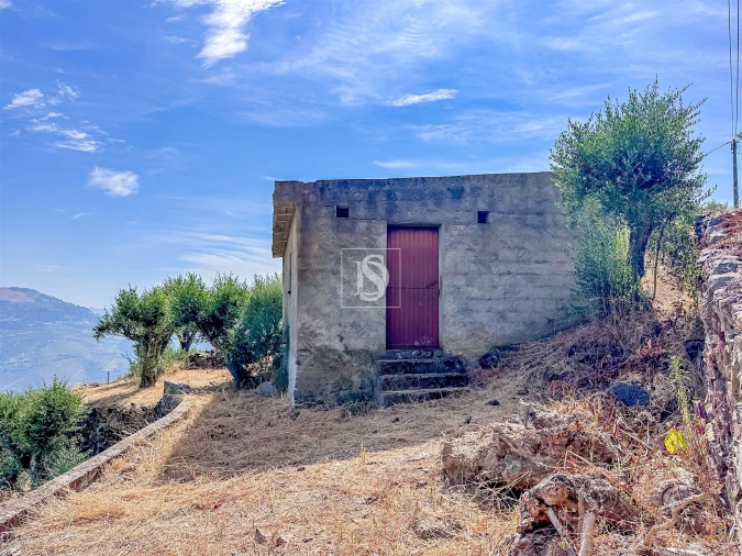 Terreno Agricola ou Rústico para Venda em Poiares e Canelas Foto 9