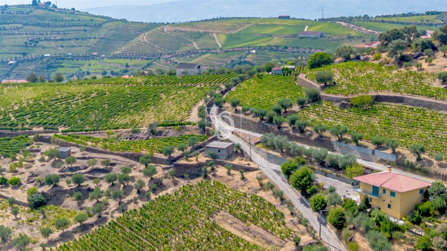 Terreno Agricola ou Rústico para Venda em Poiares e Canelas Foto 8