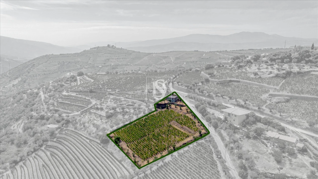 Terreno Agricola ou Rústico para Venda em Poiares e Canelas Foto 3
