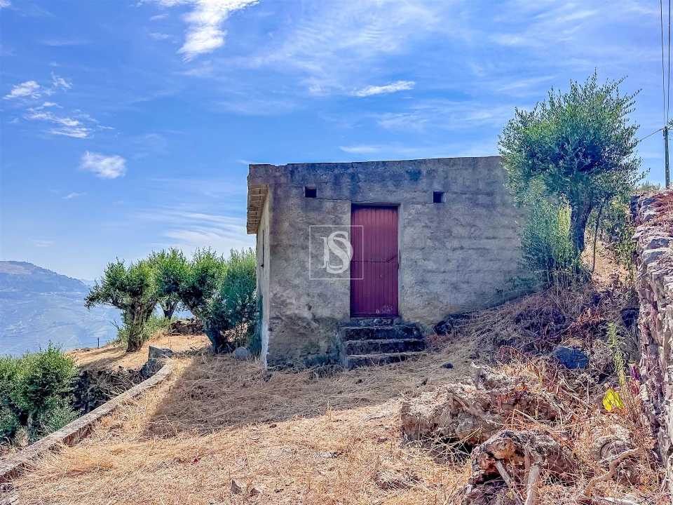 Terreno Agricola ou Rústico para Venda em Poiares e Canelas Foto 9