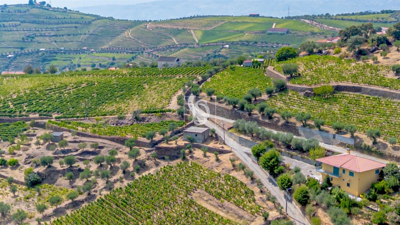 Terreno Agricola ou Rústico para Venda em Poiares e Canelas Foto 8