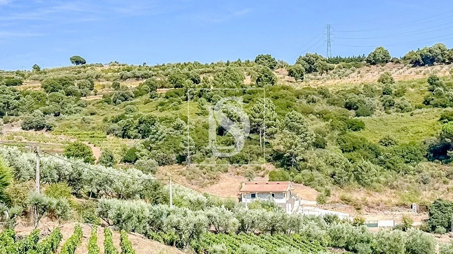 Terreno Agricola ou Rústico para Venda em Poiares e Canelas