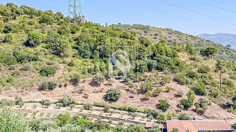 Terreno Agricola ou Rústico para Venda em Poiares e Canelas